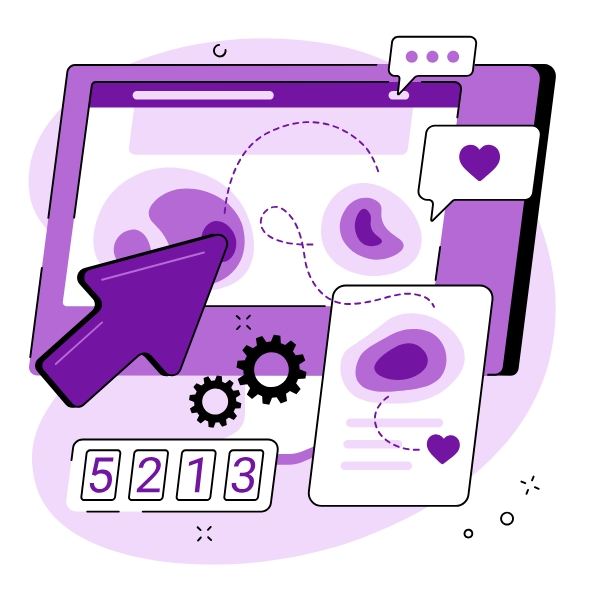 Social Media Strategy & Management